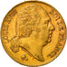 Münze, Frankreich, Louis XVIII, 20 Francs, 1817, Paris, SS, Gold, KM:712.1