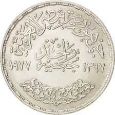 Egypt, Pound, 1977, AU(55-58), Silver, KM:473