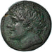 Moneta, Sicily, Hieron II, Bronze Æ, 230-215 BC, Syracuse, BB+, Bronzo