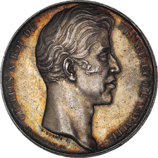 Francia, Token, Charles X, Chambre de Commerce de Rouen, Dubois F., BB+, Argento