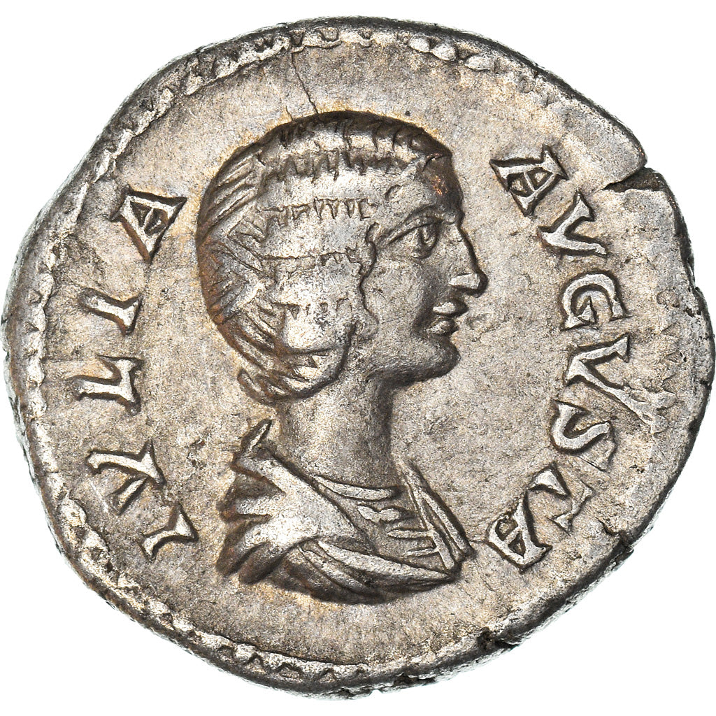 Coin, Julia Domna, Denarius, 204, Roma, AU(50-53), Silver, RIC:572