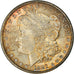 Moneta, Stati Uniti, Morgan Dollar, Dollar, 1881, U.S. Mint, San Francisco, SPL