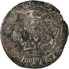 Monnaie, France, Flandre, Marie de Bourgogne, Double Briquet, 1479, Anvers, TB+