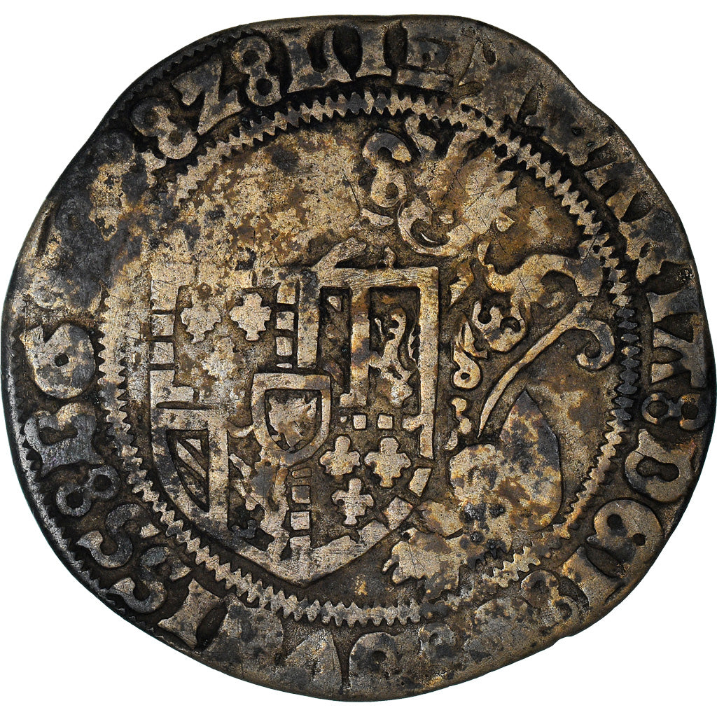 Monnaie, France, Flandre, Marie de Bourgogne, Briquet, 1482, Anvers, TB+, Argent
