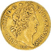Moneta, Francia, Louis XIV, Louis d'or aux 8 L et aux insignes, Louis d'Or