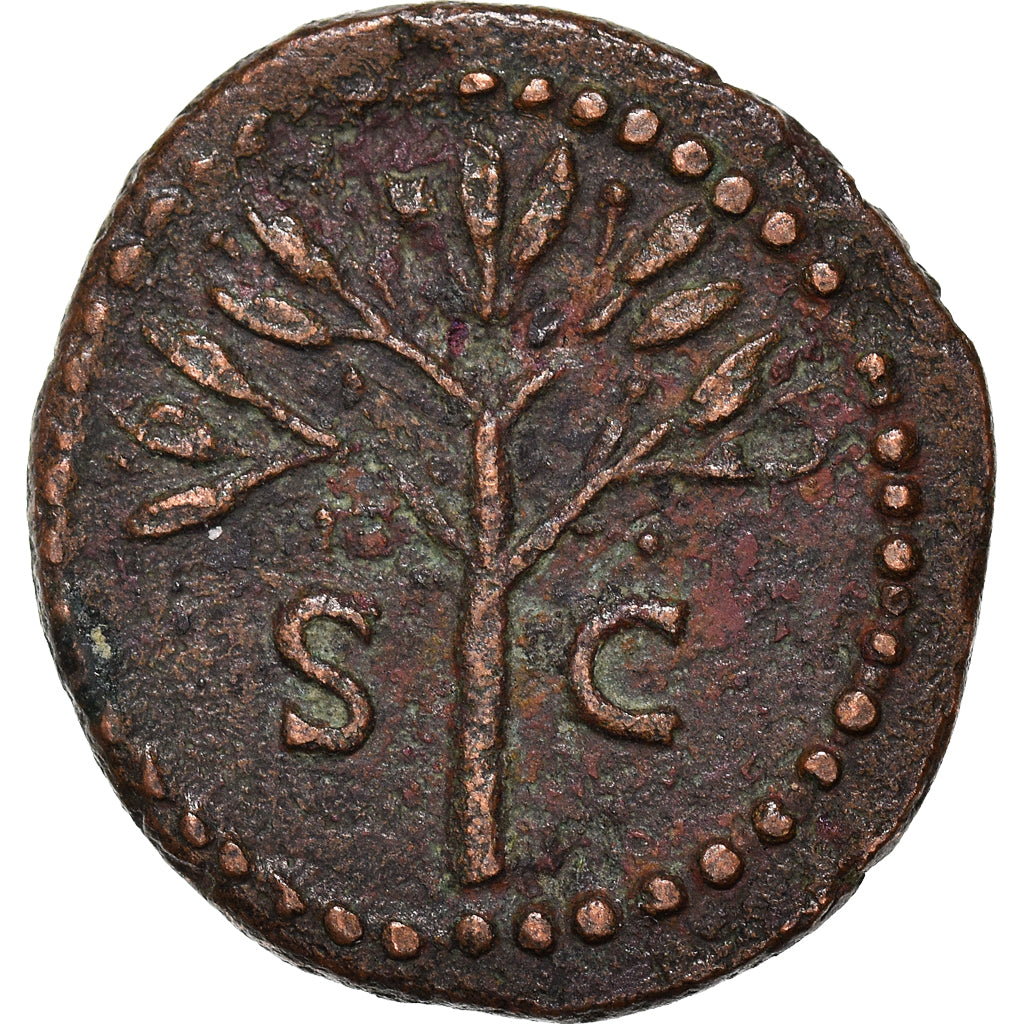 Moneta, Domitian, Quadrans, 83, Roma, BB+, Rame, RIC:240