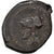 Moeda, Campânia, Cales, Bronze Æ, 265-240 BC, AU(50-53), Bronze, HN Italy:435
