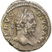 Coin, Septimius Severus, Denarius, 202-210, Rome, EF(40-45), Silver, RIC:254