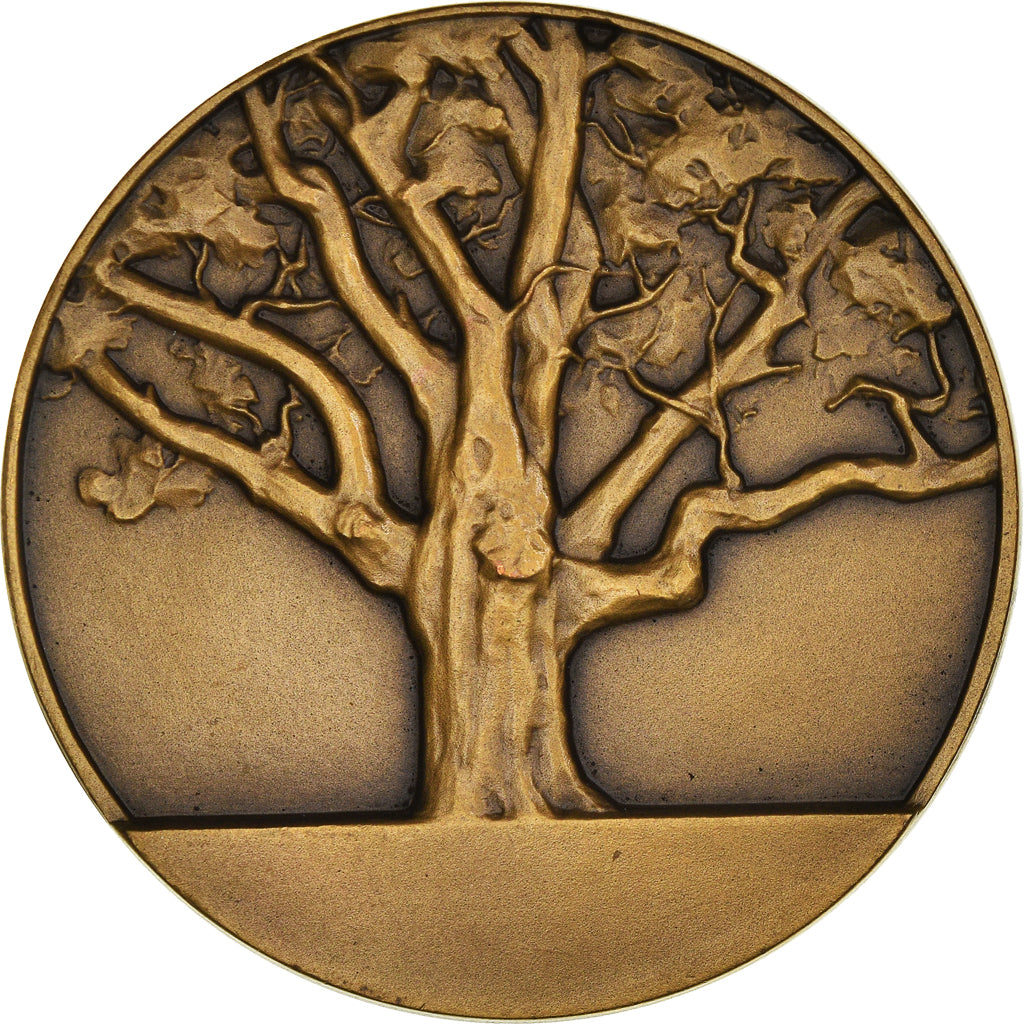 Francia, medaglia, Médaille de naissance, Delannoy, SPL, Bronzo