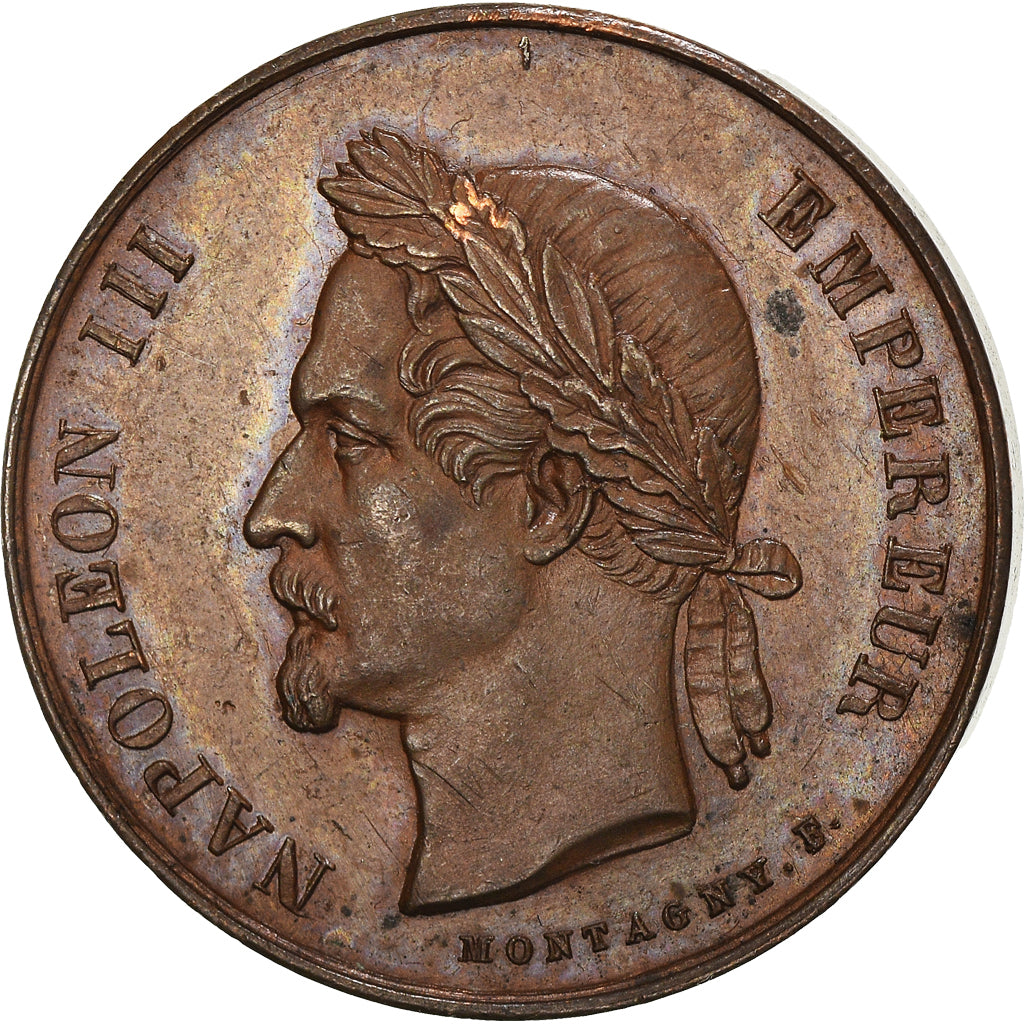 França, Medal, Napoléon III, Napoléon le Grand, Montagny, MS(60-62), Bronze