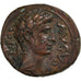 Moeda, Selêucia Piéria, Augustus, Ae, 27 BC- AD 14, Antioch, AU(50-53)