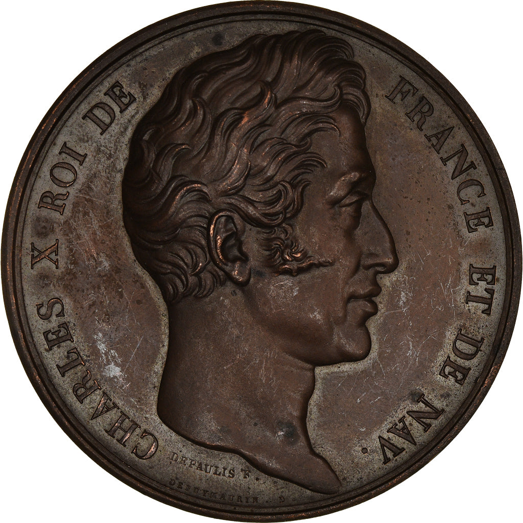 France, Medal, Charles X, Inauguration du Palais de Justice d'Orléans, 1824