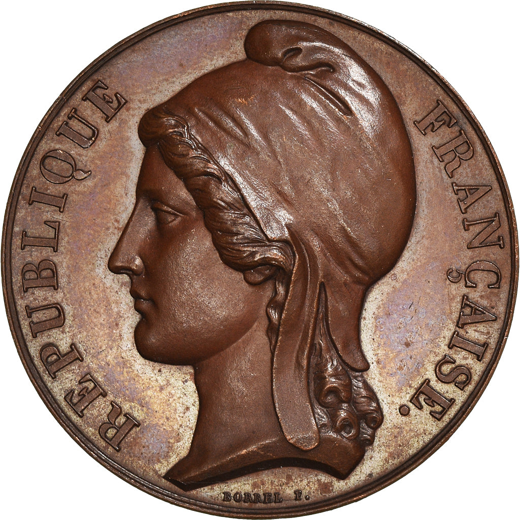 France, Medal, Garde Nationale de St. Omer, 1848, Borrel, MS(60-62), Copper