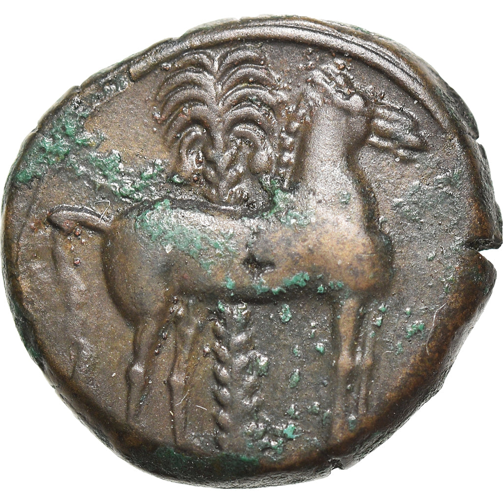 Coin, Carthage, Zeugitane, Bronze Æ, 400-350 BC, Carthage, AU(55-58), Bronze