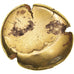 Coin, Ambiani, Stater, 60-50 BC, EF(40-45), Gold, Delestrée:244