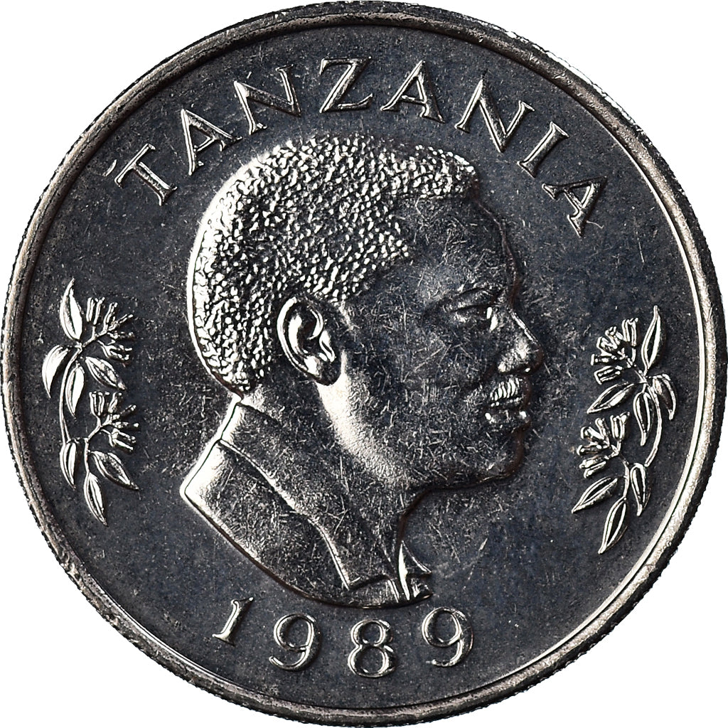 Monnaie, Tanzanie, 50 Senti, 1989