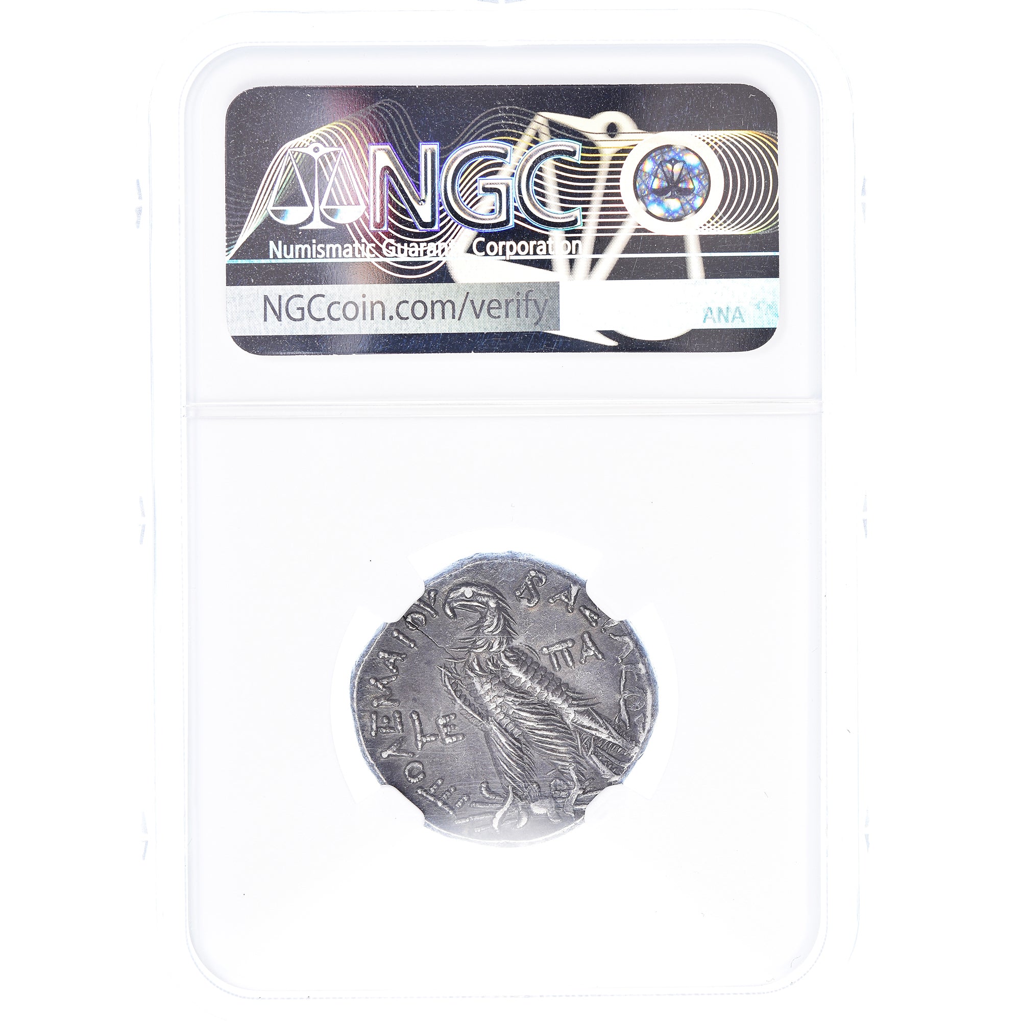 Coin, Egypt, Ptolemy VI, Tetradrachm, graded, NGC, AU, AU(55-58), Silver