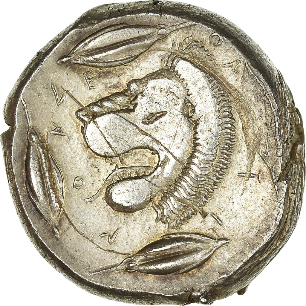 Coin, Sicily, Tetradrachm, Leontini, AU(50-53), Silver, Pozzi:471