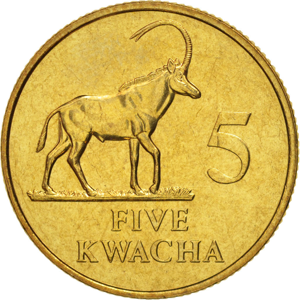 Moneta, Zambia, 5 Kwacha, 1992, SPL, Ottone, KM:31