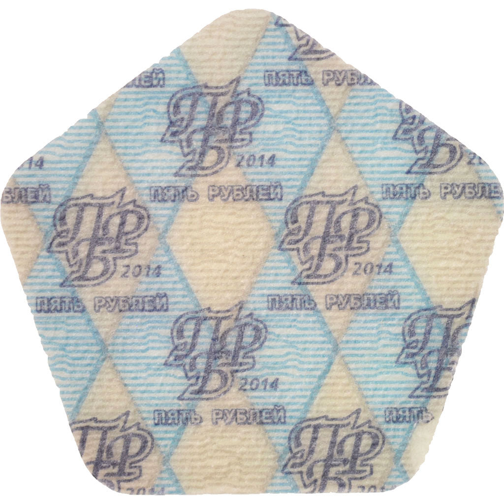 Münze, Transnistrien, 5 Roubles, 2014, STGL, Plastic