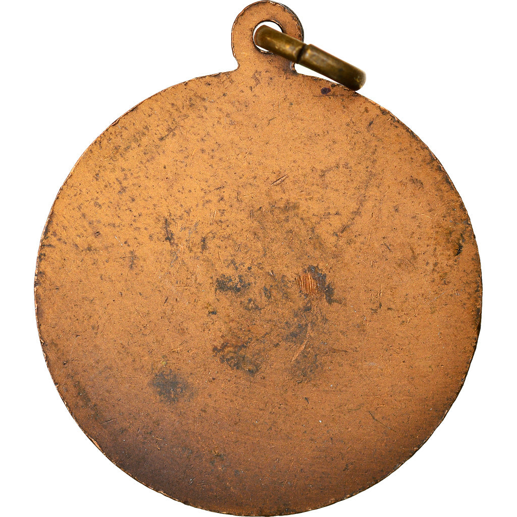Italy, Medal, Le Luthier, Arts & Culture, AU(55-58), Bronze