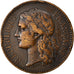 France, Medal, Exposition universelle de Paris, 1878, Barre, VF(30-35), Copper