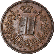 Netherlands, Medal, Ingehuldigd, Willem III, 1869, AU(50-53), Copper