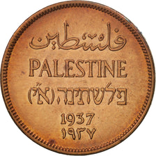 Palestina, Mil, 1937, BB, Bronzo, KM:1